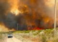 En horas, un incendio arrasa con unas mil hectáreas  de pastizal en área de Jiménez; no hay daños a la población
