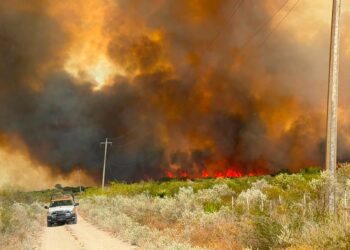 En horas, un incendio arrasa con unas mil hectáreas  de pastizal en área de Jiménez; no hay daños a la población