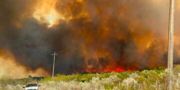En horas, un incendio arrasa con unas mil hectáreas  de pastizal en área de Jiménez; no hay daños a la población