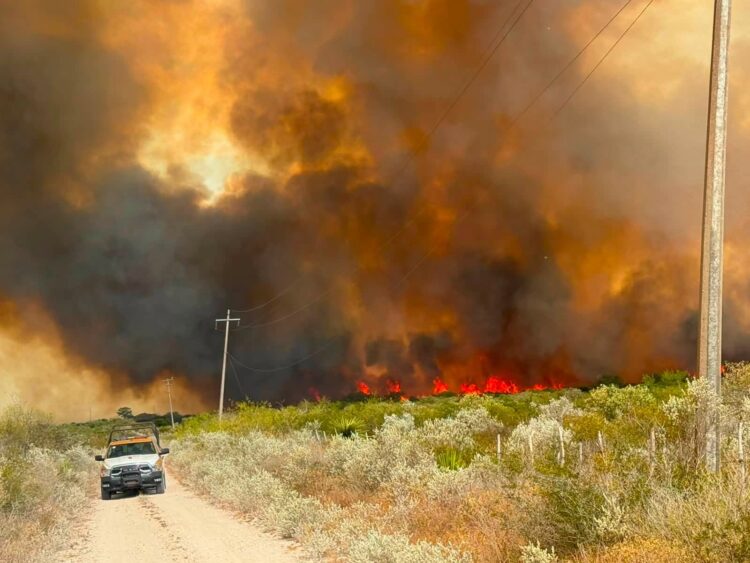 En horas, un incendio arrasa con unas mil hectáreas  de pastizal en área de Jiménez; no hay daños a la población