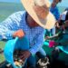 Dan seguimiento técnico al crecimiento de la actividad ostrícola en la Laguna Madre
