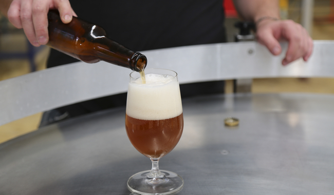 Exportaciones de cerveza mexicana superan 6,400 mdd y llegan a 98 países