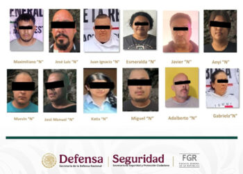 Autoridades detienen en Michoacán a 12 personas vinculadas con extorsión al sector aguacatero