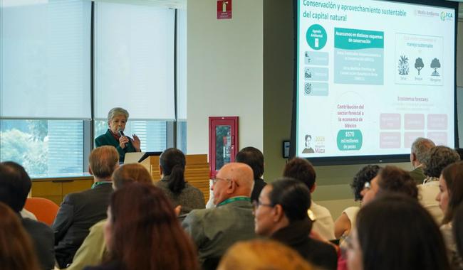 “Tenemos que pasar de las buenas intenciones a la restauración de los ecosistemas”: Alicia Bárcena