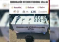 Caen en Sinaloa 11 presuntos integrantes ‘Los Chapitos’ vinculados a secuestro de mineros de La Concordia