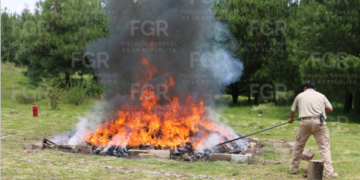 Lleva FGR incineración de más de 490 kilos de narcóticos y destrucción de mil 820 objetos del delito