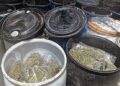 FGR procesa a una persona por transportar más de una tonelada de marihuana