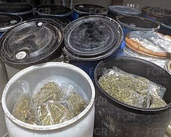 FGR procesa a una persona por transportar más de una tonelada de marihuana