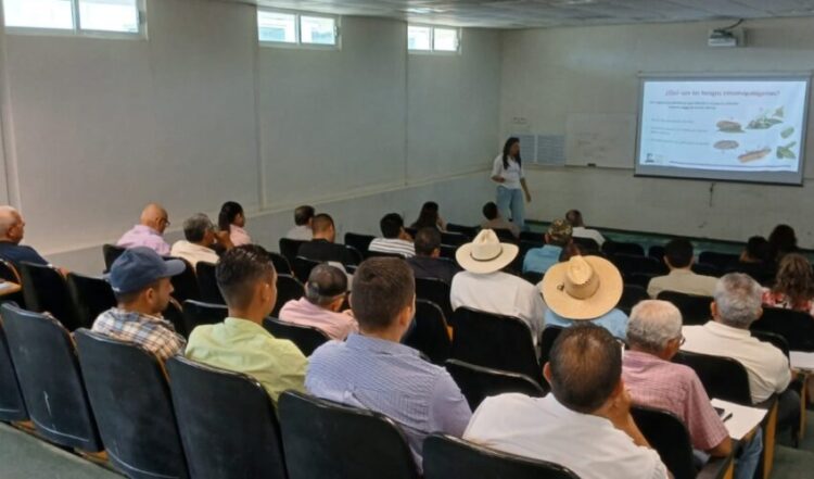 Refuerza Tamaulipas capacitación para proteger cultivos de cítricos ante el HLB
