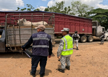 Inspecciona AGRICULTURA más de 80 mil cargamentos y 5 millones de cabezas de ganado contra el GBG