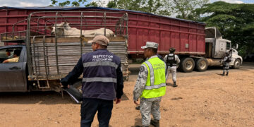 Inspecciona AGRICULTURA más de 80 mil cargamentos y 5 millones de cabezas de ganado contra el GBG