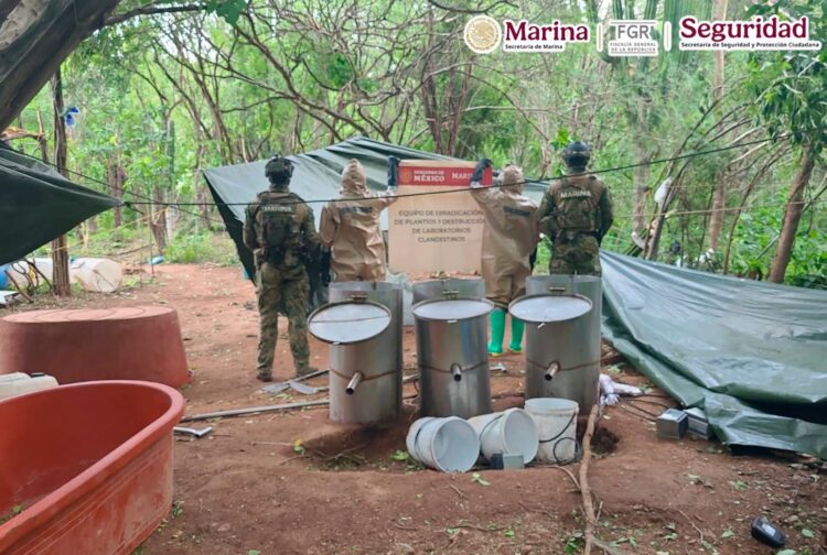 Autoridades inhabilitan laboratorio clandestino de metanfetamina en Sinaloa