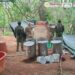 Autoridades inhabilitan laboratorio clandestino de metanfetamina en Sinaloa
