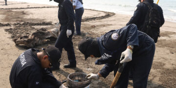 Marina fortalece la Política Nacional para el Manejo Sustentable de Mares y Costas de México