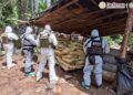 Autoridades inhabilitan cuatro laboratorios clandestinos para la elaboración de metanfetamina