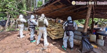 Autoridades inhabilitan cuatro laboratorios clandestinos para la elaboración de metanfetamina