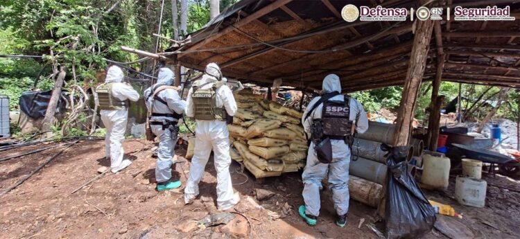 Autoridades inhabilitan cuatro laboratorios clandestinos para la elaboración de metanfetamina