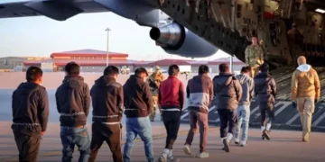 De acuerdo con el TRAC jueces de EU han expulsado a 160 mil migrantes mexicanos en lo que va de 2026