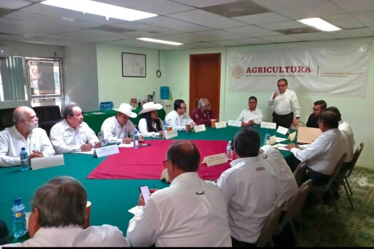 Impulsan Plan de Reconversión para fortalecer el campo de Tamaulipas