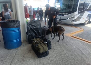 Binomios K-9 de la Guardia Estatal refuerzan seguridad en Central de Autobuses de Ciudad Victoria