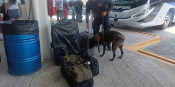 Binomios K-9 de la Guardia Estatal refuerzan seguridad en Central de Autobuses de Ciudad Victoria