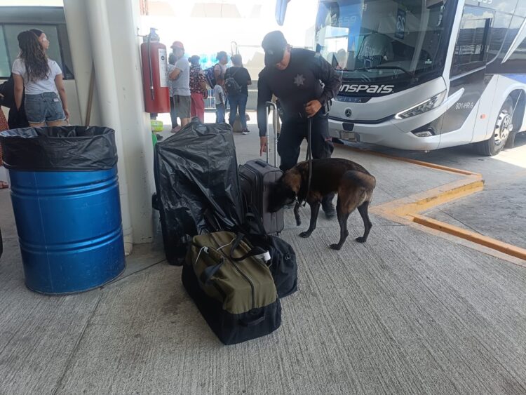 Binomios K-9 de la Guardia Estatal refuerzan seguridad en Central de Autobuses de Ciudad Victoria