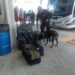 Binomios K-9 de la Guardia Estatal refuerzan seguridad en Central de Autobuses de Ciudad Victoria