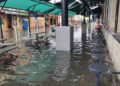 Con cocodrilos en calles y marcianos de fiesta, Tampico y Madero se revuelven entre aguas pestilentes