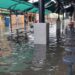 Con cocodrilos en calles y marcianos de fiesta, Tampico y Madero se revuelven entre aguas pestilentes