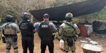 El Gabinete de Seguridad inhabilitó 3 laboratorios para elaboración de metanfetaminas en Guerrero