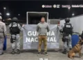 La ANAM y Sedena aseguran en Tijuana 249  kilos de cocaína y fentanilo con ayuda del perro ‘chocolate’