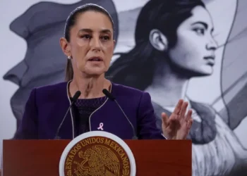 Si los partidos lo deciden podrán pedir al INE revisar antecedentes de  aspirantes e intervendrían UIF y SSPC: CSP