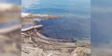 Mancha de presunto hidrocarburo en el Pánuco moviliza a autoridades e inquieta a pescadores del sur de Tamaulipas