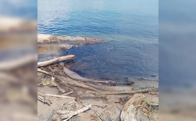 Mancha de presunto hidrocarburo en el Pánuco moviliza a autoridades e inquieta a pescadores del sur de Tamaulipas