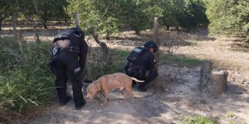 La GE interviene en caso de maltrato de un perro de la raza Pitbull en inmueble de Padilla