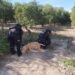 La GE interviene en caso de maltrato de un perro de la raza Pitbull en inmueble de Padilla