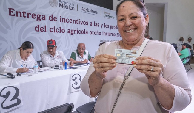 AGRICULTURA asegura la entrega de incentivos al maíz blanco en Sinaloa