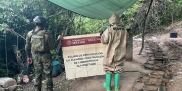 Autoridades federales inhabilitan tres laboratorios clandestinos de drogas sintéticas en Sinaloa