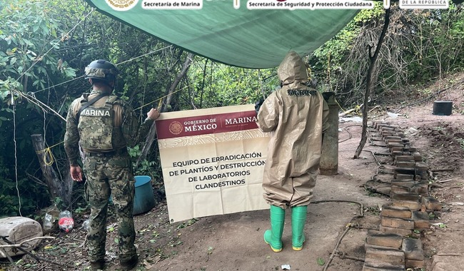 Autoridades federales inhabilitan tres laboratorios clandestinos de drogas sintéticas en Sinaloa