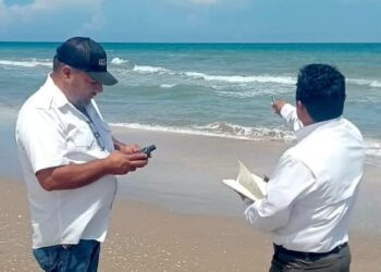 Refuerzan vigilancia y protección de tortugas marinas en campamentos de Tamaulipas