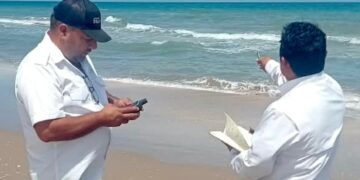 Refuerzan vigilancia y protección de tortugas marinas en campamentos de Tamaulipas