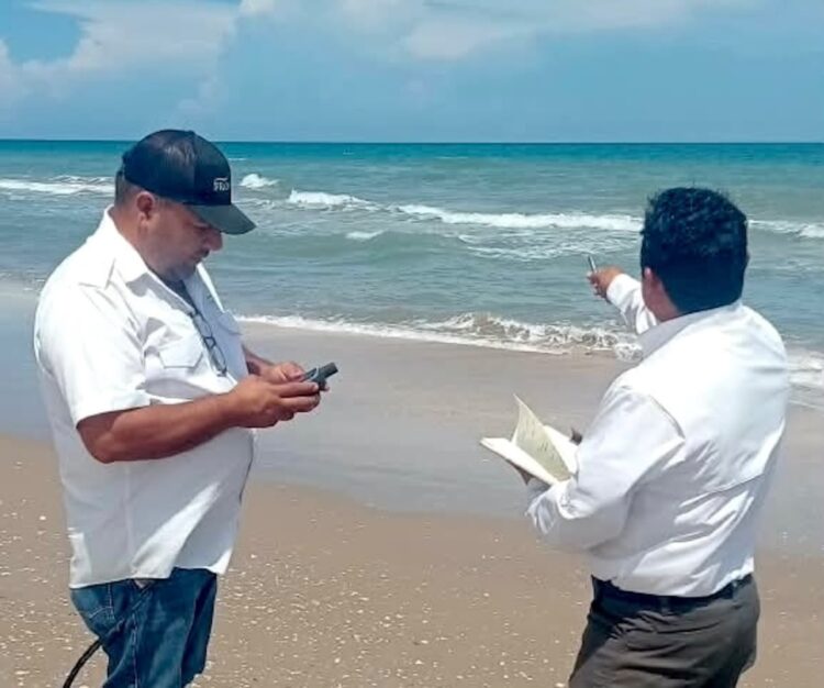 Refuerzan vigilancia y protección de tortugas marinas en campamentos de Tamaulipas
