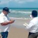 Refuerzan vigilancia y protección de tortugas marinas en campamentos de Tamaulipas