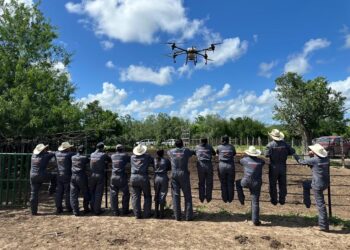 Refuerza la UAT brigadas de contención frente al gusano barrenador en Tamaulipas
