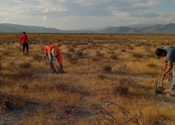Reconocen talento de tamaulipecas en Concurso Nacional de Fotografía de los Telebachilleratos Comunitarios