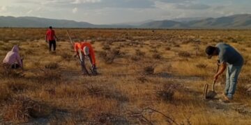Reconocen talento de tamaulipecas en Concurso Nacional de Fotografía de los Telebachilleratos Comunitarios