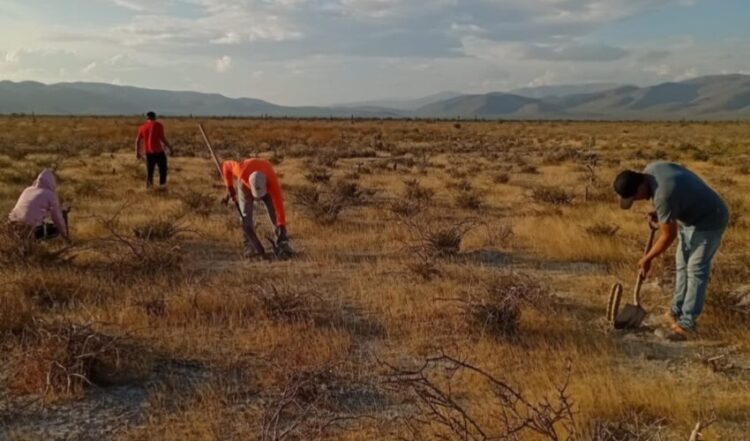 Reconocen talento de tamaulipecas en Concurso Nacional de Fotografía de los Telebachilleratos Comunitarios