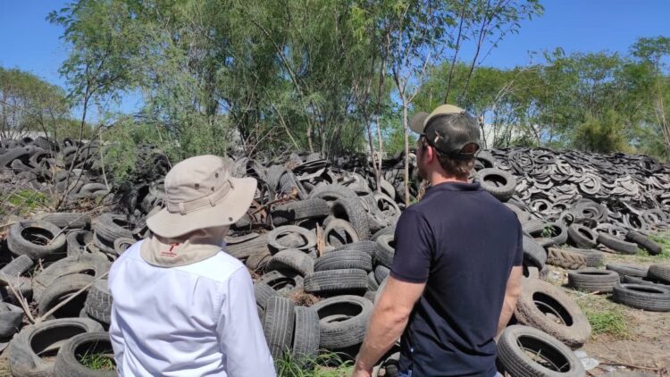 Avanza SEDUMA en trituración de llantas para reducir la contaminación en Reynosa