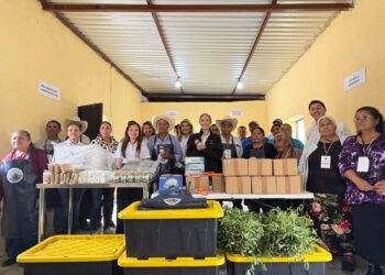 La SE y la UAT promueven el aprovechamiento del laurel para impulsar emprendimientos en Jaumave