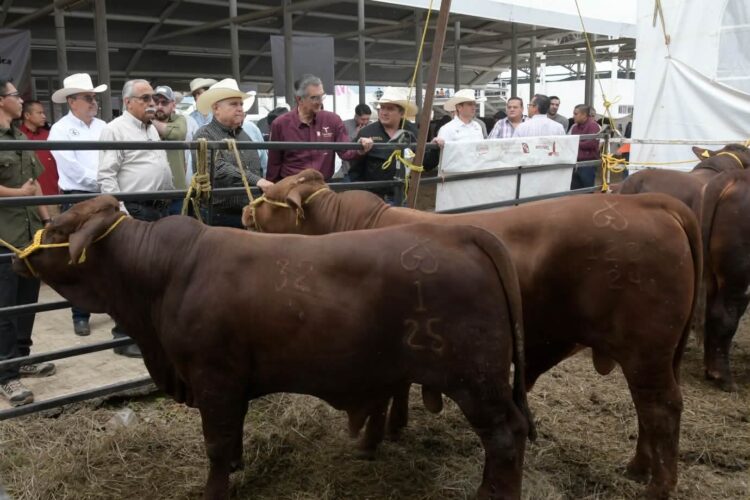 Concluye Programa de Mejoramiento Genético 2026 en la Feria Tamaulipas